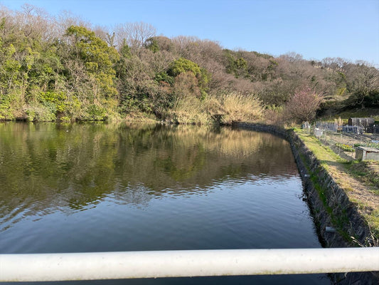 香西西町新池