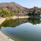 ◆新池（中山町）