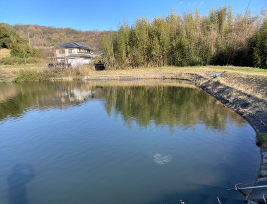 渡池（前田西町）