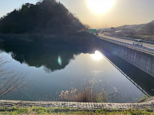 東井上上池（三木）