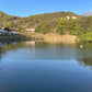 ◆東井上中池（三木）