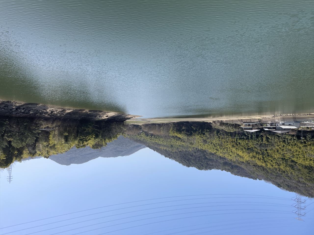 ◆森池