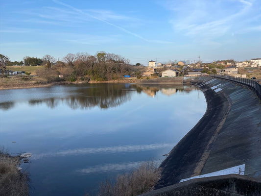 ◆竹田上池