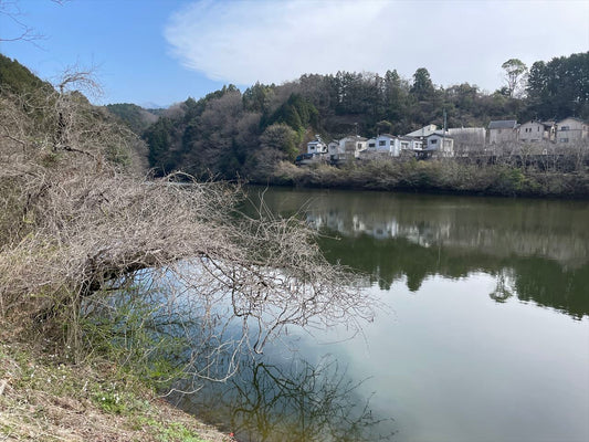 追入中池