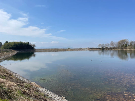 ◆北池（北梅本町）