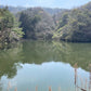 ◆下原池