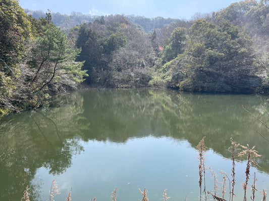 ◆下原池