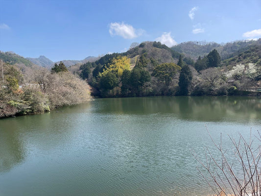 前池（東方町）