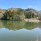 ◆東前池