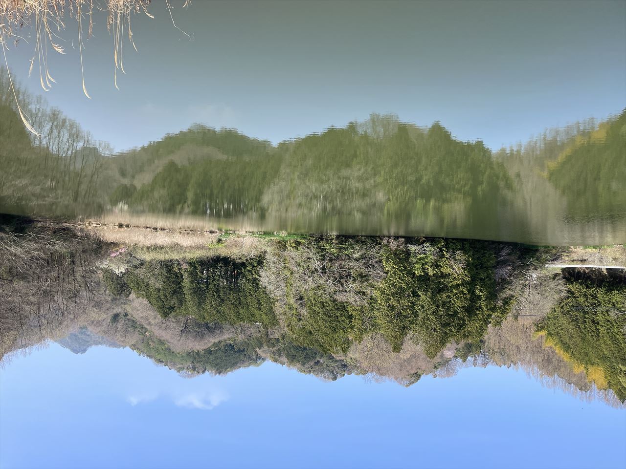 ◆東前池