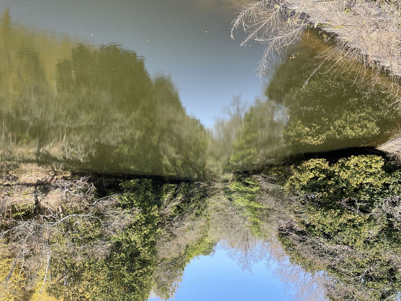 ◆通谷池