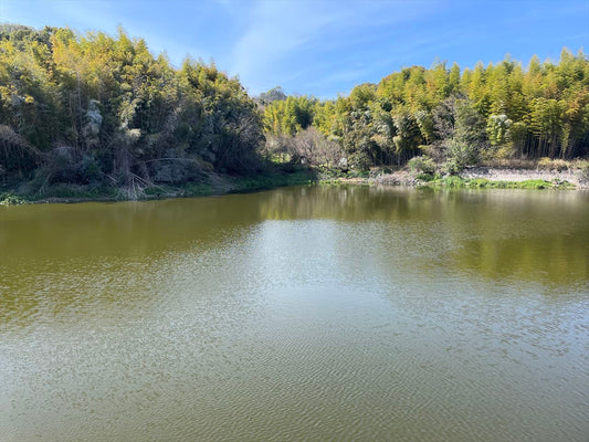 新池（太山寺町）