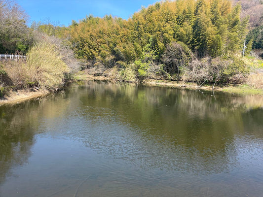◆彼岸田新池