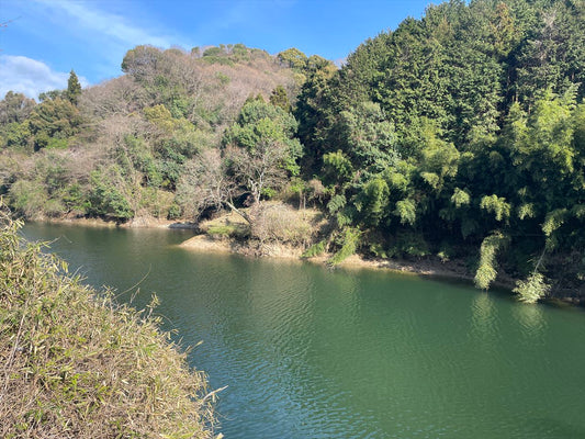 高田池（菊間町）