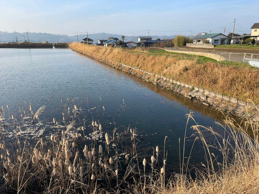 ◆宮前池（萩生）