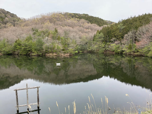 ◆奥谷池（大川町）