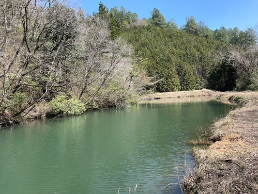 奥山天神池（多和中山）