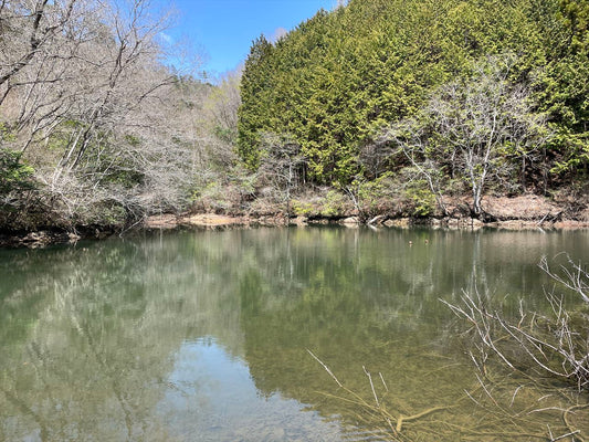 奥山溜まり（多和中山）