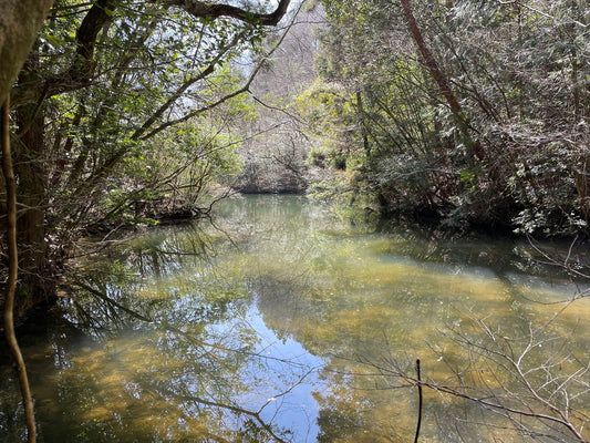◆奥山細池（多和中山）