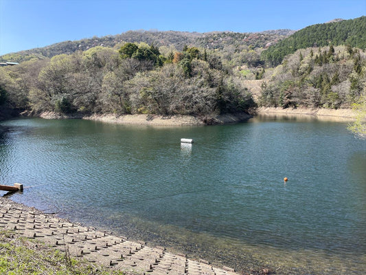 ◆薬師下池（阿波町）