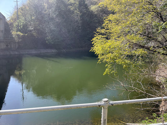 ◆山尻上池（阿波町）