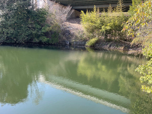 山尻下池（阿波町）