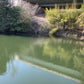 ◆山尻下池（阿波町）