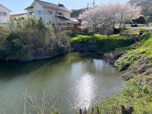 北原下池（阿波町）
