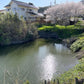◆北原下池（阿波町）