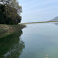 ◆小山池