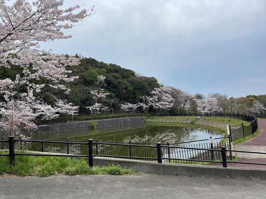 坂東丸山公園池