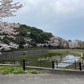 ◆坂東丸山公園池