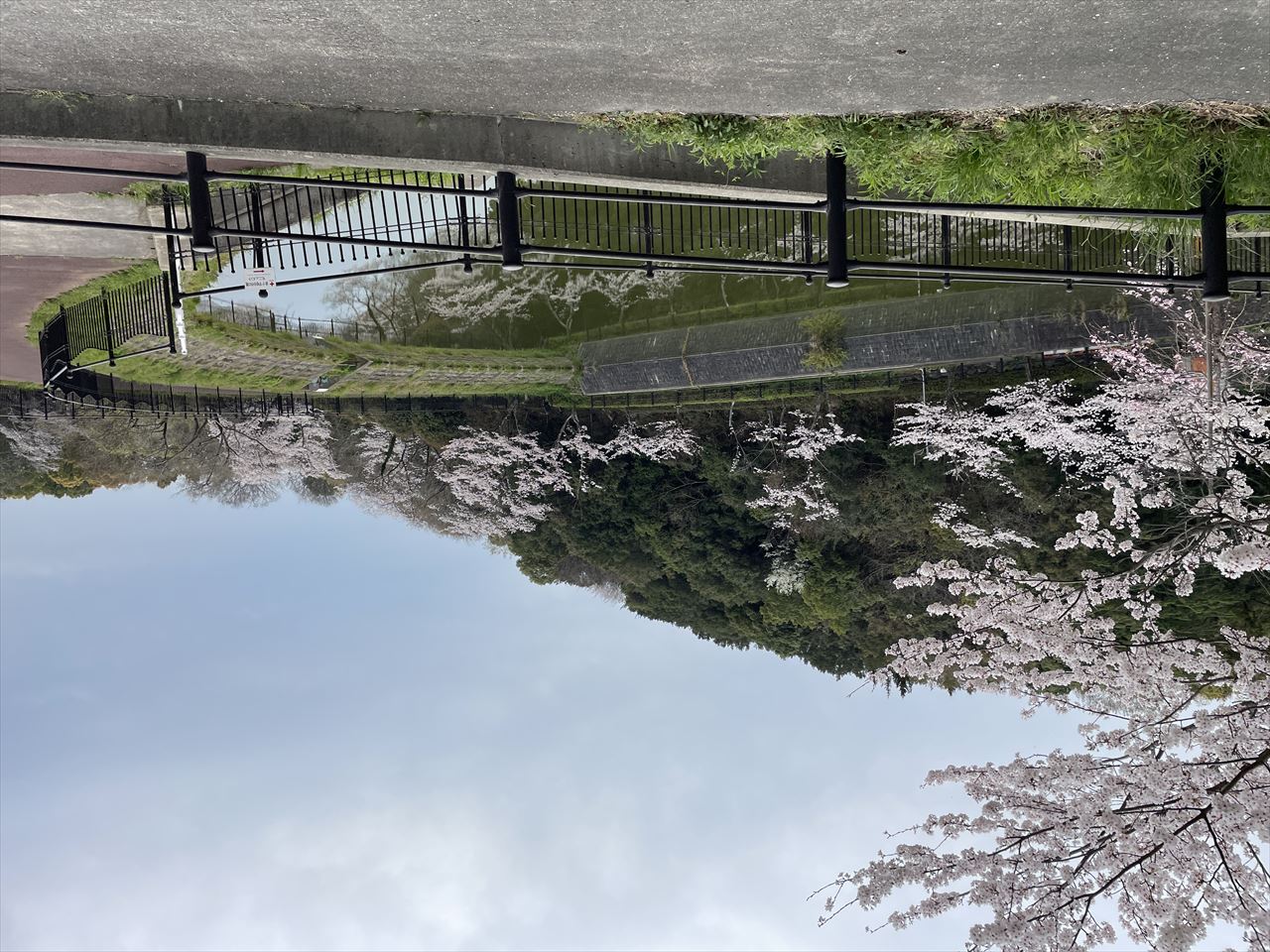 ◆坂東丸山公園池