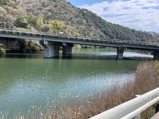 中山大池（撫養町）