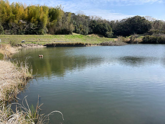 ◆長谷池（中川原）