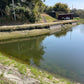 ◆琵琶川池（中川原）