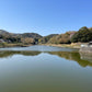 ◆蓮池（北谷）
