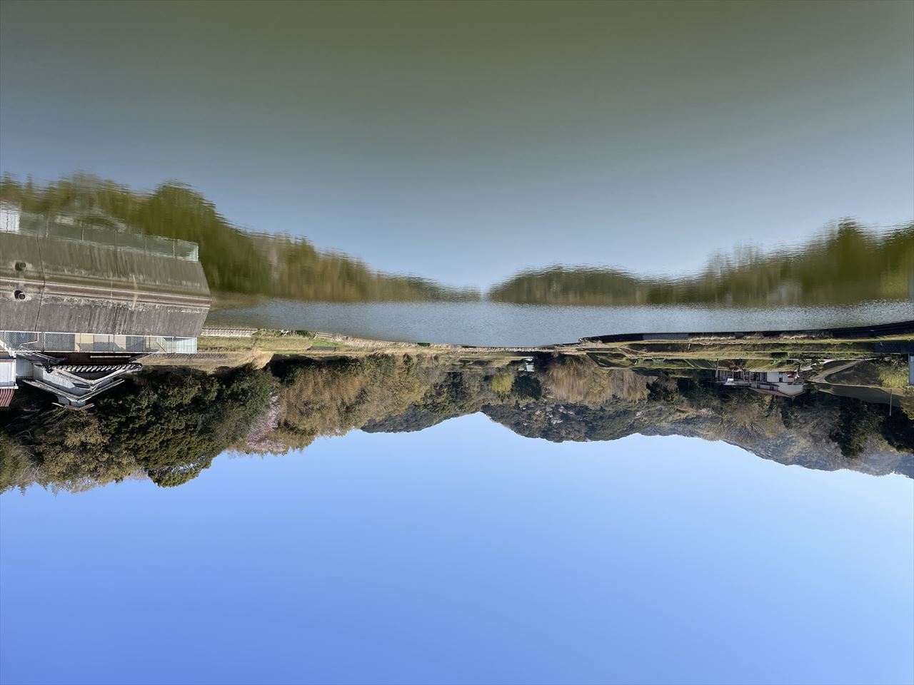◆蓮池（北谷）