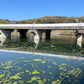 ◆大池（山田原）