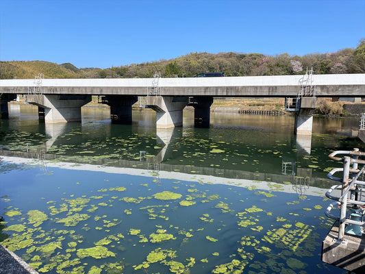 ◆大池（山田原）