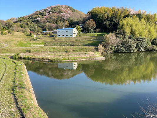 ◆桂池（木曽上）