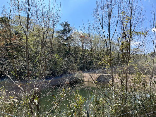 梅谷新池（梅美台）