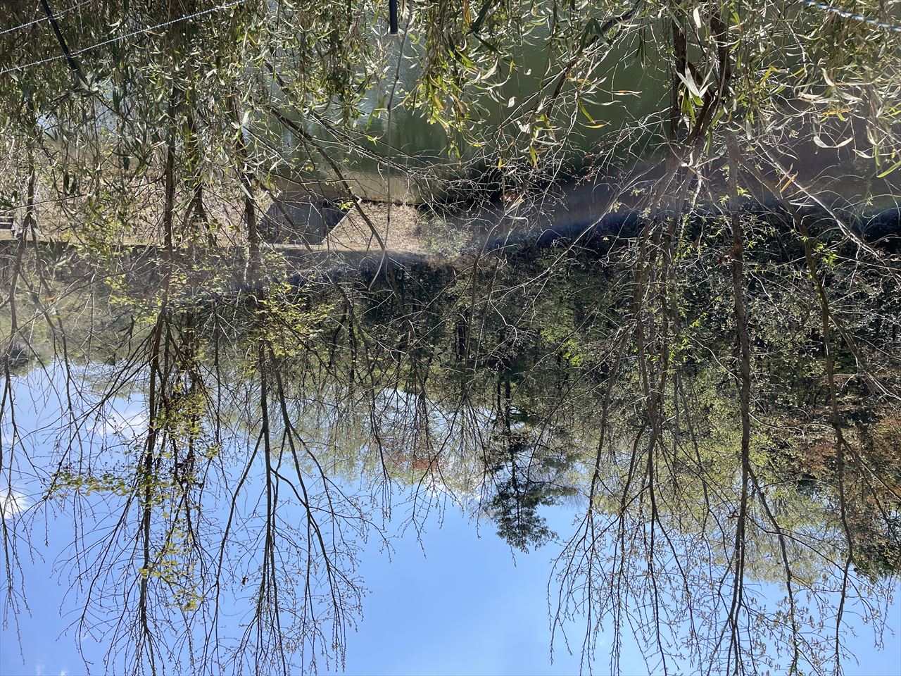 ◆梅谷新池（梅美台）