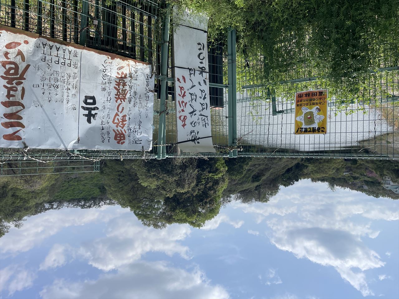 ◆七廻池
