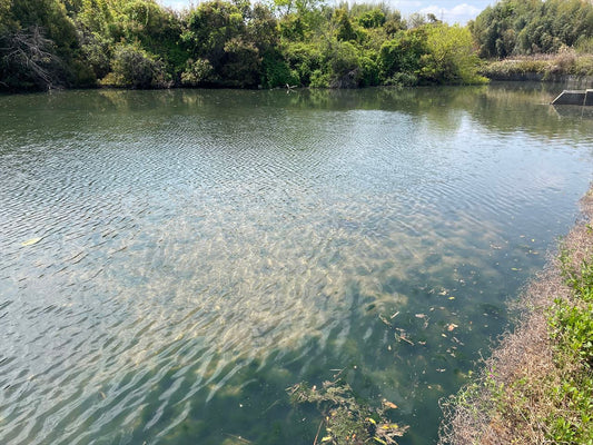 一番池（菅生）