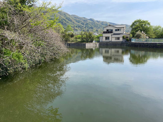 ◆トンボ池（水越）