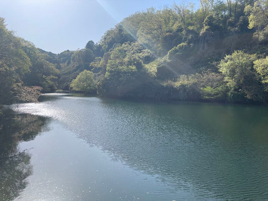 大池（信貴畑）