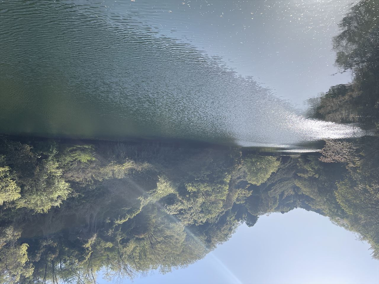 ◆大池（信貴畑）