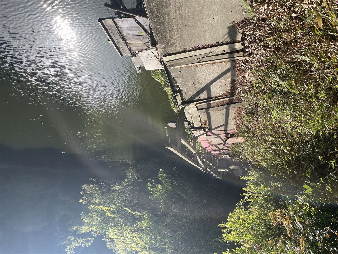 ◆大谷池（信貴畑）