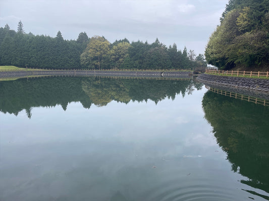 ◆深谷池（上村）